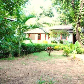 Jolly Jolly Lester, Goa 1